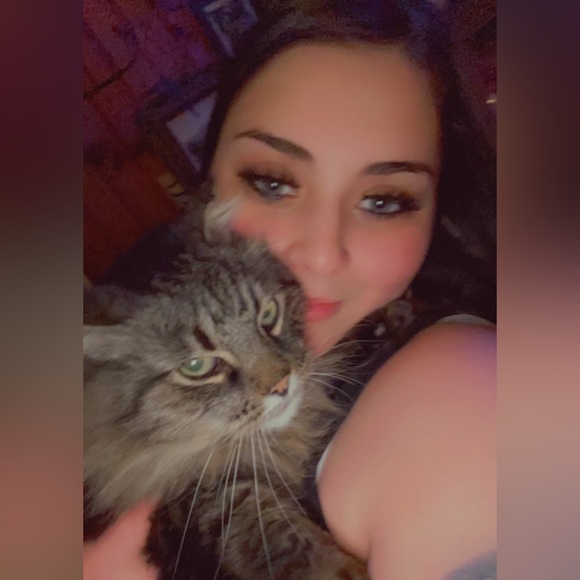 Meet your posher - Picture 4 of 4